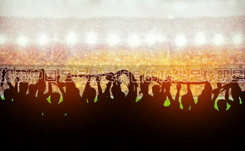 333体育网页登录福石控股揭秘中国足坛最受瞩目的顶尖足球明星