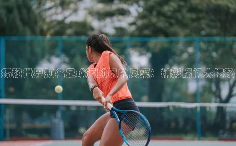 333体育app官方下载百度学术揭秘世界知名足球运动员的风采：精彩瞬间大揭秘