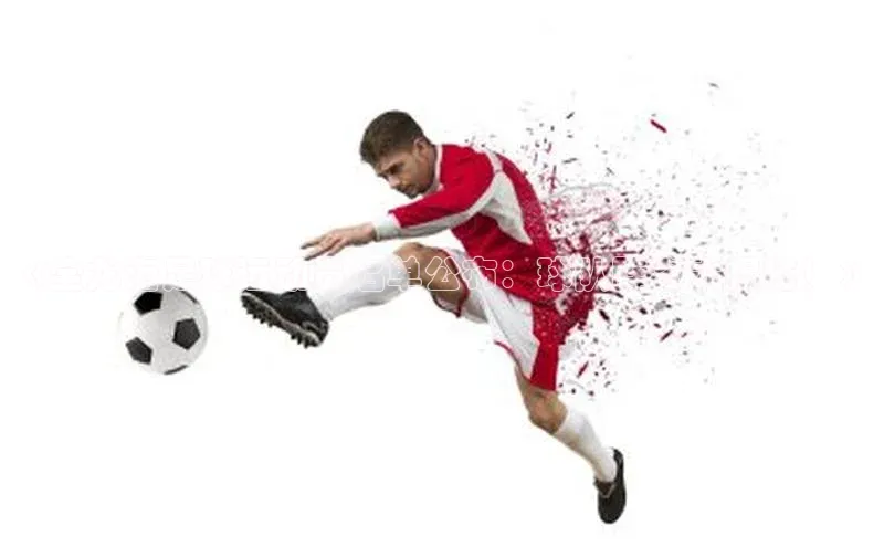 333体育官网app京东《全龙海足球运动员名单公布：球队阵容大揭秘！》