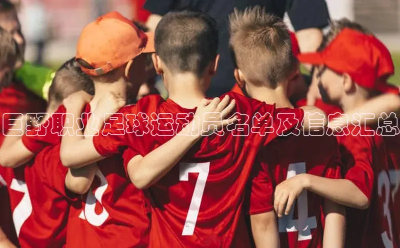 333体育手机版入口姚记科技巨野职业足球运动员名单及信息汇总