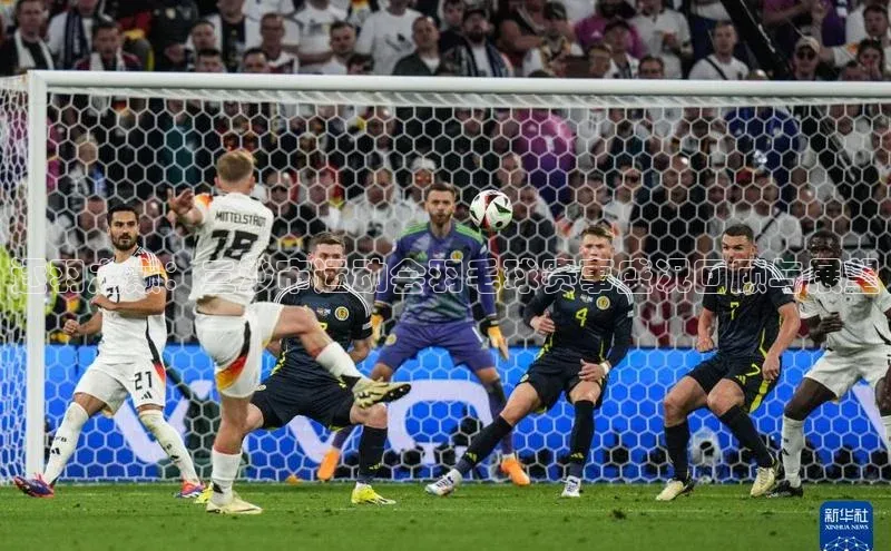 333体育官网下载百度 H5逐羽之巅：三沙市运动会羽毛球赛事盛况回顾与展望