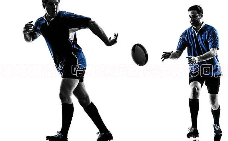 333体育平台app台登录知乎冰城激情：哈尔滨运动赛事精彩回顾