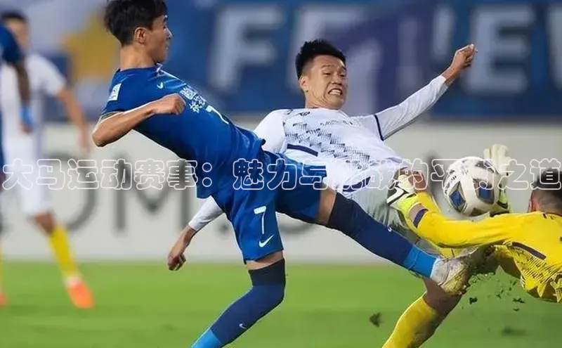 大马运动赛事：魅力与挑战的平衡之道