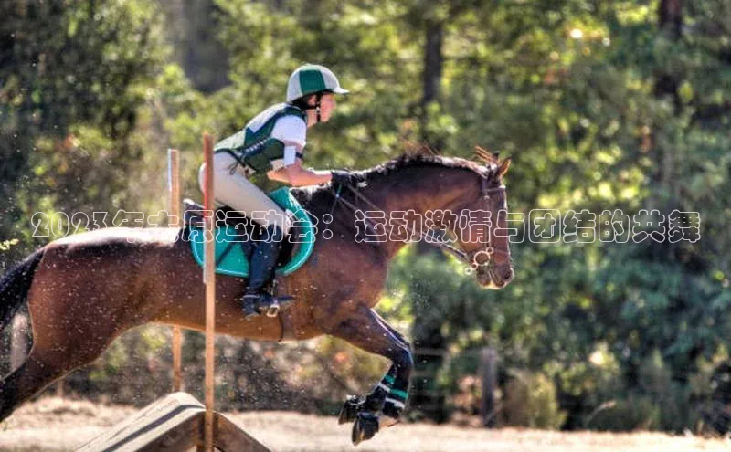 2023年太原运动会：运动激情与团结的共舞