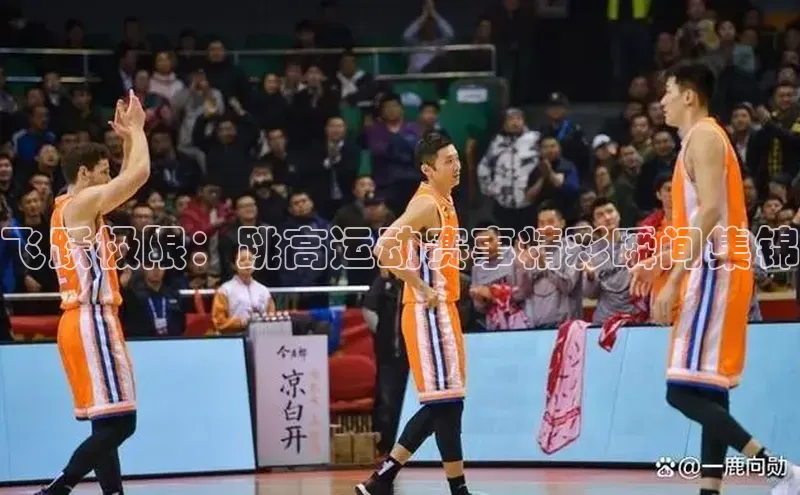 飞跃极限：跳高运动赛事精彩瞬间集锦