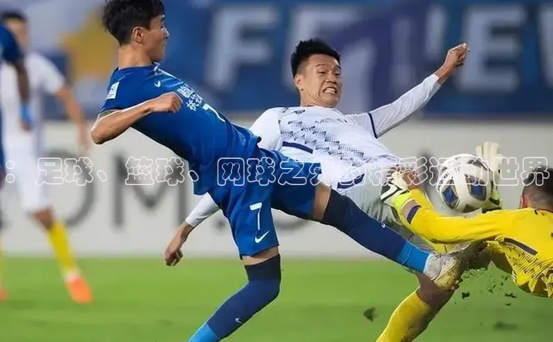 ：足球、篮球、网球之外的精彩运动世界