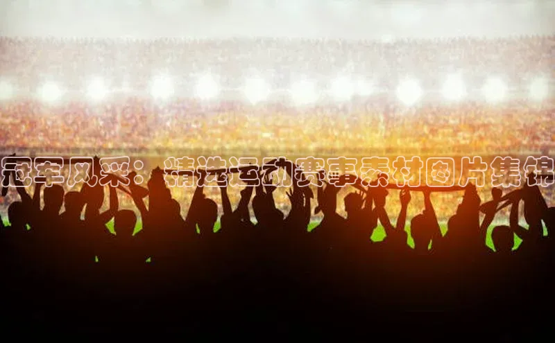 冠军风采：精选运动赛事素材图片集锦