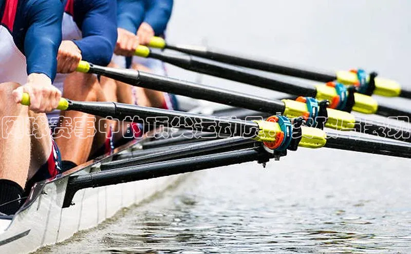 网球赛事中的顶尖运动员：突破与表现