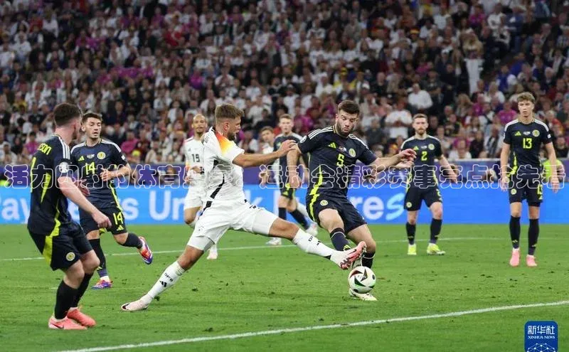 活力四射的体育盛宴：运动会精彩赛事亮点抢先看