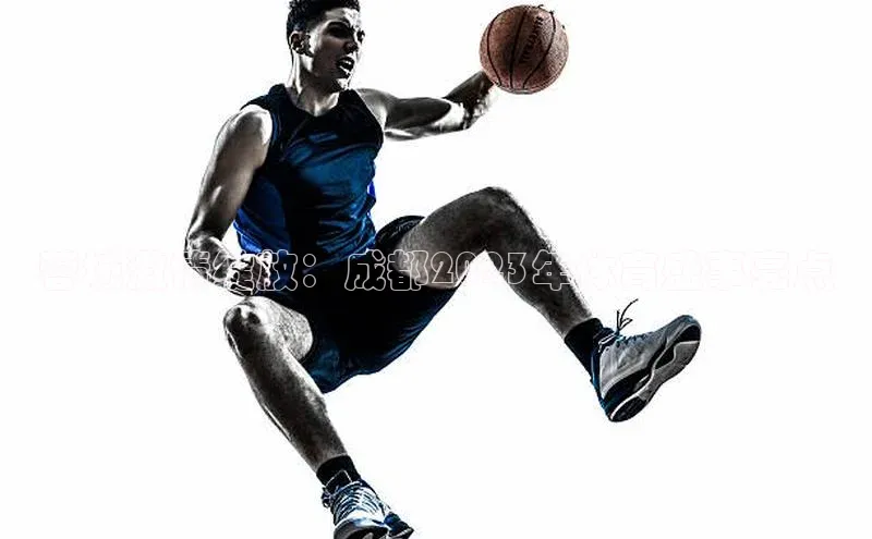 蓉城激情绽放：成都2023年体育盛事亮点