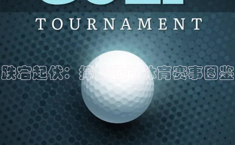 跌宕起伏：摔跤运动体育赛事图鉴