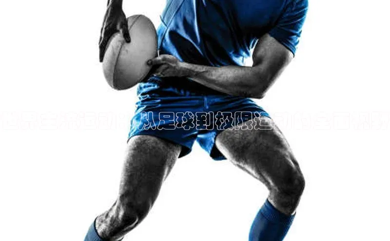 世界主流运动：从足球到极限运动的全面视野