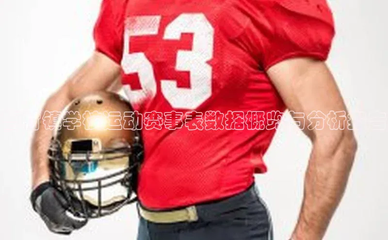 曹村镇学校运动赛事表数据概览与分析报告