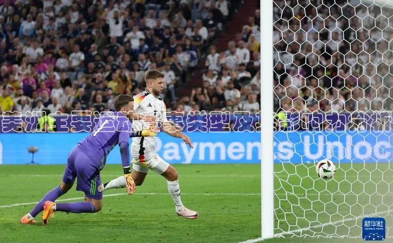 美洲主要运动赛事类型及其影响力分析