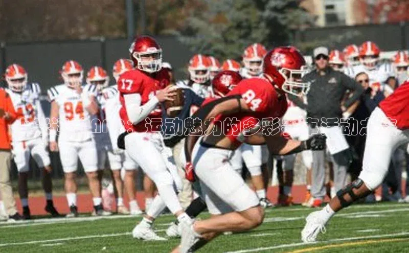 小米运动APP：运动魅力的多彩赛事活动之旅