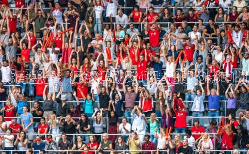 333体育平台app台登录