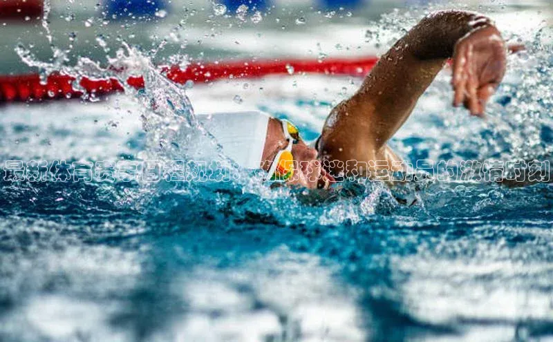 333体育平台网页下载