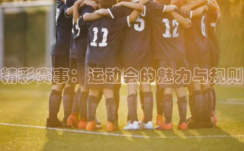 333体育赛事直播