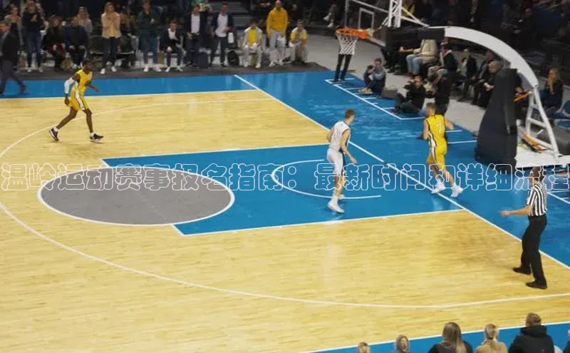 333体育官网登录入口