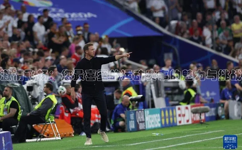 333体育赛事直播