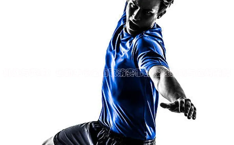 333体育官网入口