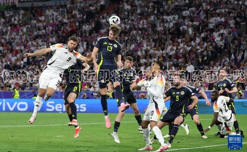 333体育app最新版本更新内容