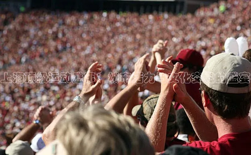 333体育网页登录