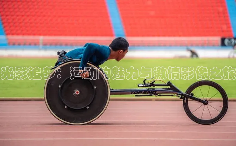 333体育平台网页版