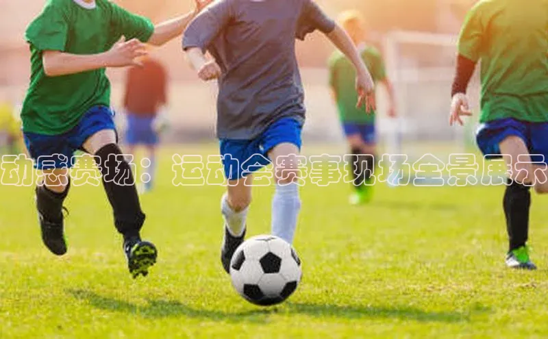 333体育平台网页版