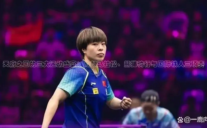 333体育官网入口