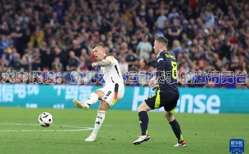 333体育app官方最新版本功能介绍