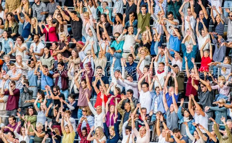 333体育官网入口